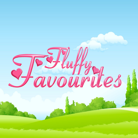 Fluffy Favourites