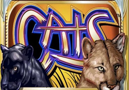 Cats
