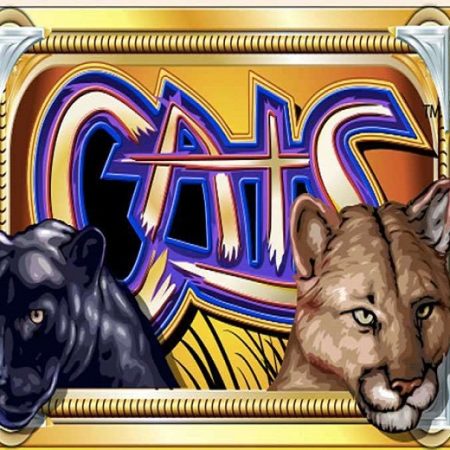 Cats