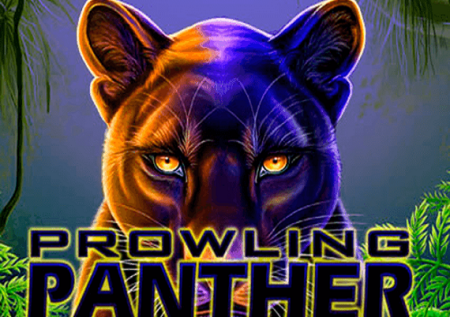 Prowling Panther