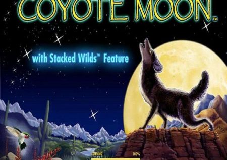 Coyote Moon