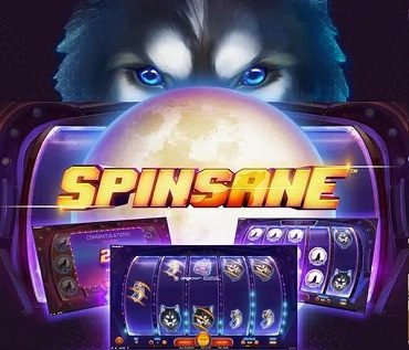 Spinsane