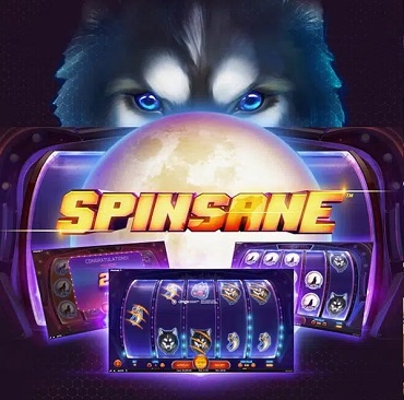 Spinsane