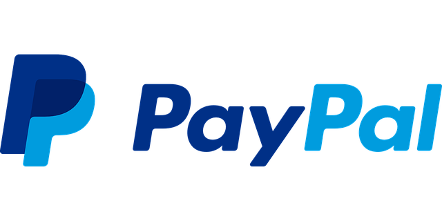 PayPal Payment Options